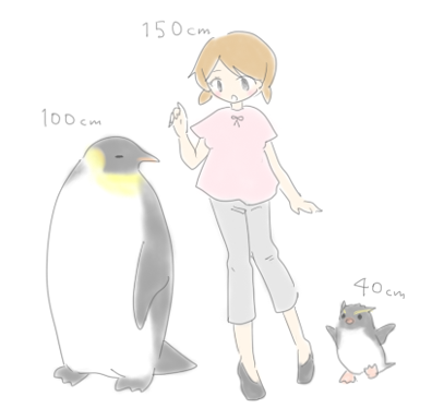 ペンギン　飼育